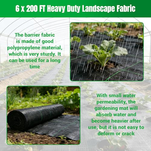 Weed Barrier Fabric Planting Cover - 6 x 200 FT Heavy Duty Landscape Fabric Ground Cover Block for Outdoor Planting - size: 6 x 200 FT