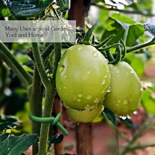 6 Ft Bamboo Stakes with 100 Twist Ties Natural Bamboo Garden Stakes for Dahlias Cucumber Grapes Pole Beans Trees Potted Dahlia Flowers and Climbing Plants - Pack of 20 - size: 6 FT -20 PACK & Ties