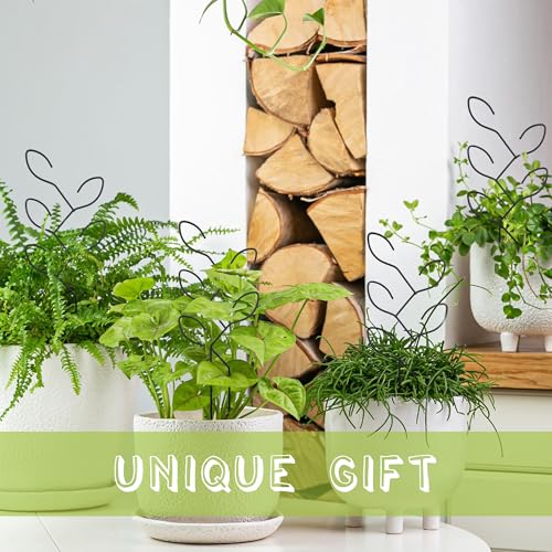 2Pcs Metal Leaf Shape Garden Trellis for Climbing Plant Indoor - color: C