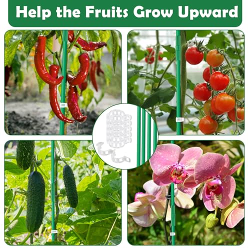 Cludoo 232PCS Garden Stakes Set with 70 Sets Fiberglass Plant Stakes Sticks Supports and Accessories, DIY 4ft 5ft 6ft 7ft Tomato Stakes for Tomato,Vegetables, Pepper, Fences Indoor Outdoor Plants - size: 70 sets