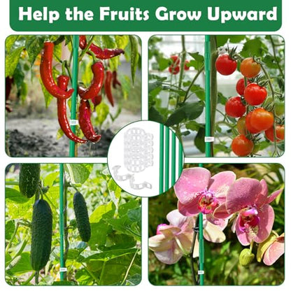 Cludoo 342PCS Garden Stakes Set with 100 Sets Fiberglass Plant Stakes Sticks Supports and Accessories, DIY 4ft 5ft 6ft 7ft Tomato Stakes for Tomato,Vegetables, Pepper, Indoor Outdoor Spring Plants - size: 100 sets