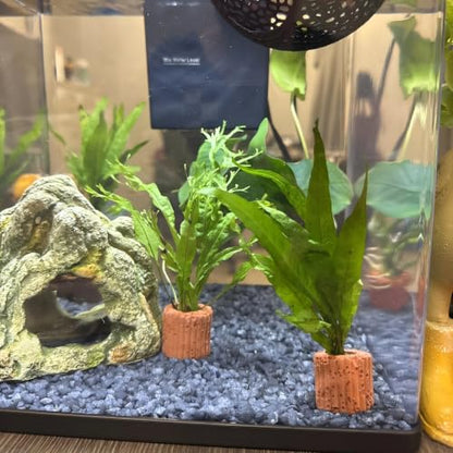10-Pack 25mm Aquatic Plant Ring Base for Aquarium Pots