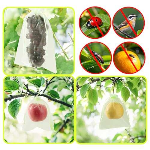50PCS Fruit Protection Bags with Drawstring, 8x12 Inch Green Organza Produce Bags for Fruit Trees, Mesh Netting for Garden Protection - size: 8"×12"