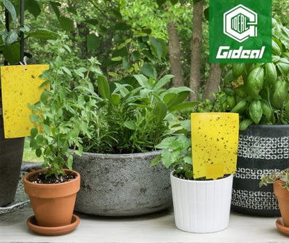 Gideal 50-Pack Dual-Sided Yellow Sticky Traps for Flying Plant Insect Fungus Gnats Whiteflies Aphids Leafminers Thrips (6x8 Inches, Included 50pcs Twist Ties) - size: 50 Pack