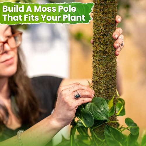 DUSPRO All-in-One DIY Moss Pole Kit for Climbing Plants - size: MOSS POLE DIY KIT