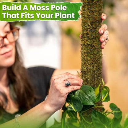 DUSPRO All-in-One DIY Moss Pole Kit for Climbing Plants - size: MOSS POLE DIY KIT