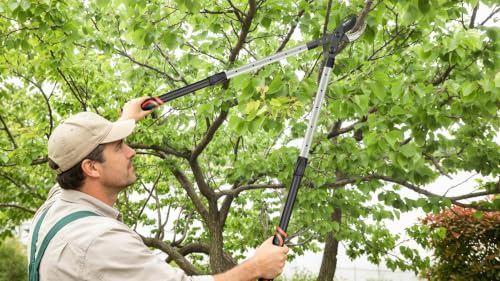 AIRAJ Anvil Loppers for Tree Trimmer Heavy Duty, 26-39'' Tree Branch Cutter - size: 26-39" Anvil Loppers