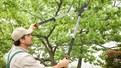 AIRAJ Anvil Loppers for Tree Trimmer Heavy Duty, 26-39'' Tree Branch Cutter - size: 26-39" Anvil Loppers