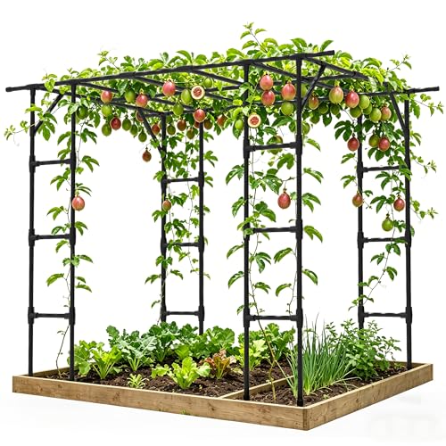 Grape Vine Trellis,Heavy Duty Metal Plant Support Trellis-96L*62W*79H in - size: 95.7（L）*61.6(W)*78.5(H) in