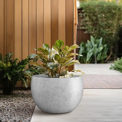 Kante Accent Round Bowl Pale Gray Concrete Planter 15.7" Dia, Outdoor - color: Natural Concrete, size: 15.7" d