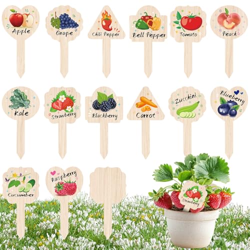 JUYRLE Vegetable Plant Label - 15PACK Garden Markers, Fruit Plant Labels for Outdoor Garden Waterproof, Plant Tags with Names, Indoor Patio Tags for Succulent Flowers Greenery Seedling - style: Fruits-PVC