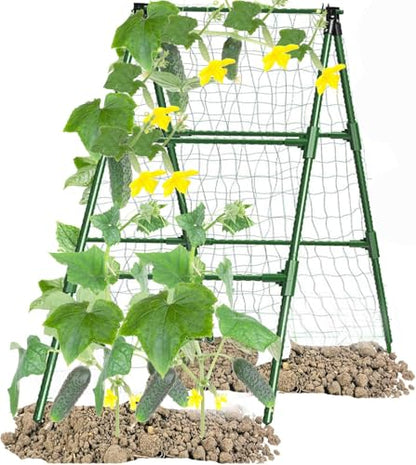 Cucumber Trellises A Frame Plant Supports Green Trellis for Cucumber, Climbing Plants Vegetables Flowers (Green) 47x15in