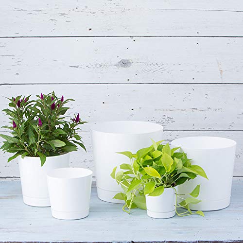 Novelty Majestic Full Depth Round Cylinder Pot, Glossy White, 8-Inch (10082) - color: White, size: 8 Inch