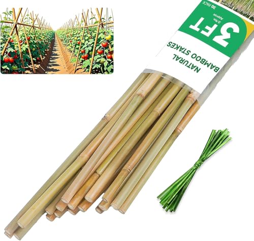 Natural Bamboo Plant Stake, （3FT 30Pcs） Sturdy Bamboo Poles, Durable Plant Bamboo Stake, Garden Climbing Plant Bracket. - size: 3ft-30PCS