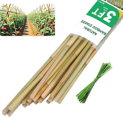 Natural Bamboo Plant Stake, （3FT 30Pcs） Sturdy Bamboo Poles, Durable Plant Bamboo Stake, Garden Climbing Plant Bracket. - size: 3ft-30PCS