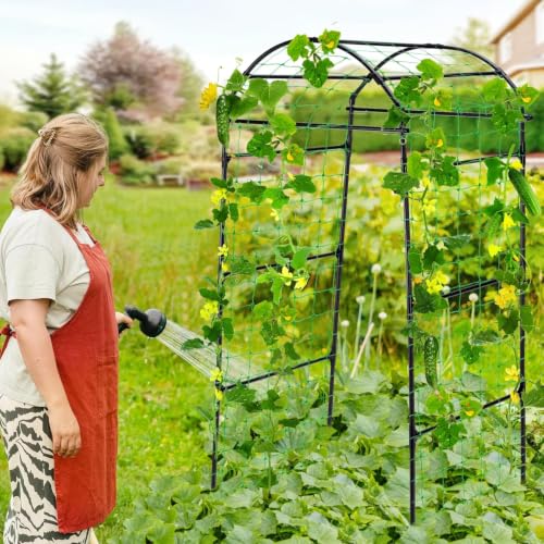 Garden Arch Cucumber Trellis for Climbing Plants 6.7ft Black - size: 78.7 x 31.5 x 31.5 in, Arch, Black