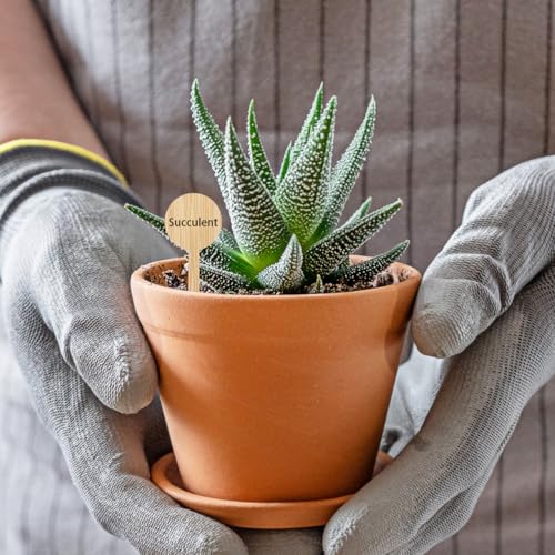 Toddmomy 20 Pcs Bamboo Plant Markers 3.9 Inch Round Garden Labels