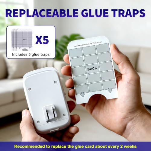 Upgraded Fruit Fly Traps for Indoors, Flying Insect Trap for Fruit Flies, Gnats, Plug in Bug Zapper Indoor with Dual-UV Lights & Trapping, Electric Grid & Glue Traps - size: 1 Device 5 Glue Boards