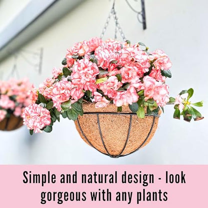 LaLaGreen Round Hanging Baskets (12 in, 10 Pack) Black Coco Liner Planters - size: 12" x 10 Pack