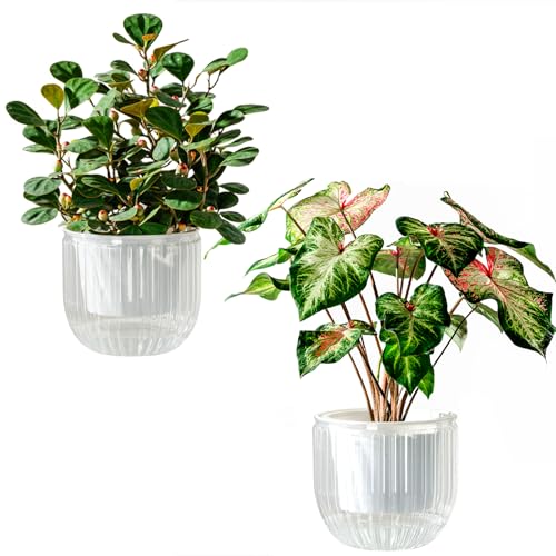 Melphoe Self Watering Pots for Indoor Plants Planter, 6.5 Inch 2 Pack Planters Self Watering Plant Pots for Flower, Houseplants, Succulent, African Violets and Cactus with Drainage - color: White, size: 6.5''