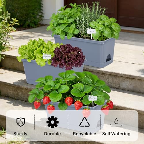 Oliz Window Box Planter 6 Packs, 13.8 Inches Rectangle Flower Pots with Drainage Holes & Trays, Pots for Vegetables, Herbs, Flowers, Garden Windowsill Balcony (Grey) - color: Gray