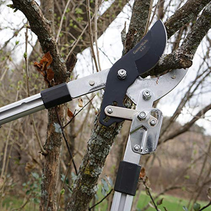 Kings County Tools Tree Trimmer Loppers with 26" - 40" Long Handles - style: 40" Extendable Bypass Lopper