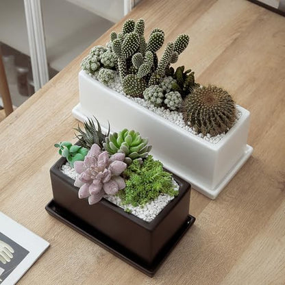 12 Inch Rectangular Ceramic Plant Pot, Window Box, Glazed White - color: White, size: 12 Inch