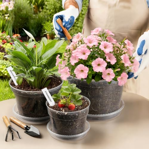 10/8/6 Inch Clear Plant Pots with Drainage Hole 12 Pack, Transparent Sturdy Plastic Nursery Pots with Saucers, Plant Label, Gardening Gloves, Plant Starter Pots for Planting Seed Herb Vegetable Flower - size: 10/8/6 Inch-12P