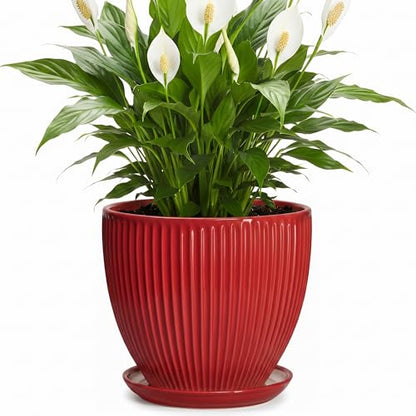 Ceramic Flower Pots 8 Inch, Ceramic Planters with Saucer, Red - color: Red, size: 8 Inch