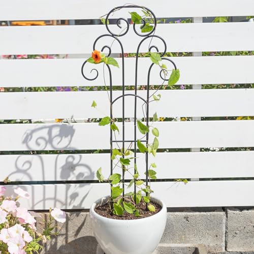 31 Inch Trellis for Potted Plants - Iron Support for Climbing Vines - size: 31"H