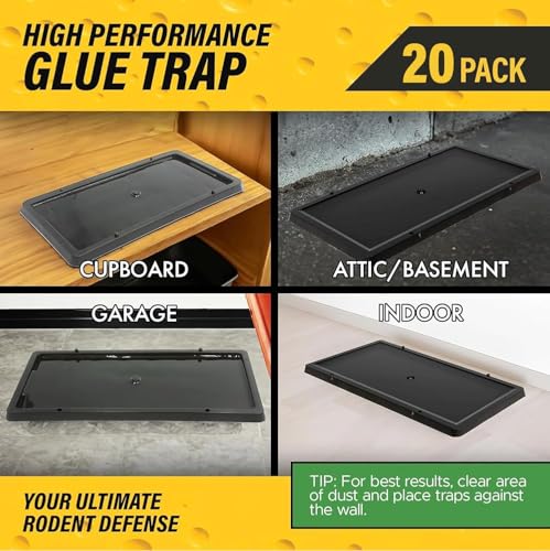 TRATPER Glue Traps for Mice,Rat,Mouse,Snake,Lizard,Insect. 20 Pack. Extra Strength,Pre-Baited Adhesive.Heavy Duty Plastic Tray.Non-Toxic,Chemical-Free Pest Control for Home. 20Pack - size: 20 Pack
