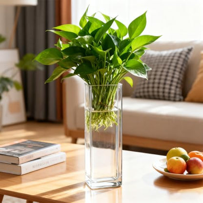 Glass Wall Mounted Planters 6 Pcs Hanging Flower Vase Glass Tubes