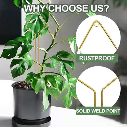 Indoor Plant Trellis 4 Pcs Small Hoop Mini Climbing Plant Support