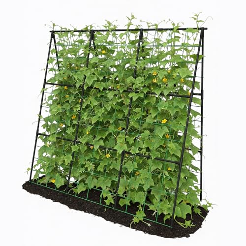 Cucumber Trellis 49.4"*49.4" Metal Garden Trellis for Climbing Plants,Black - color: black, size: 50"*32"*50"