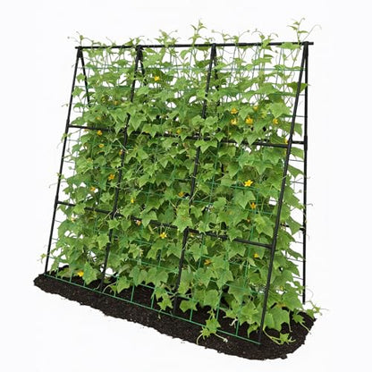 Cucumber Trellis 49.4"*49.4" Metal Garden Trellis for Climbing Plants,Black - size: 50"*32"*50"-B