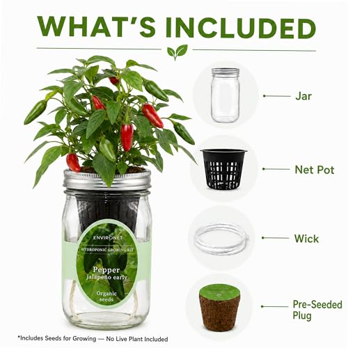 Hydroponic Pepper Growing Kit, Self-Watering Mason Jar Vegetable Starter Kit Indoor, Grow Peppers from Organic Seeds (Jalapeño Early Pepper) - color: Pepper - Jalapeño Early