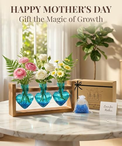 Nacome Plant Terrarium with Wooden Stand, 3 Heart Bulb Glass Vases - color: Blue