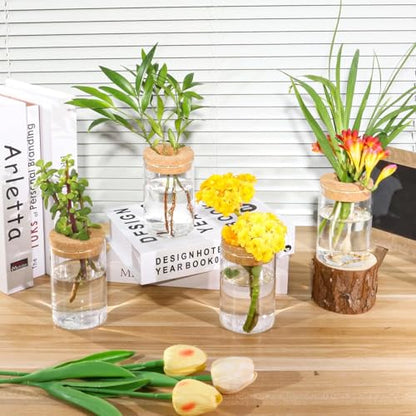 Plant Propagation Station,Hydroponic Glass Container Vase 2 Sizes Planter Propagated Jars for Desks, Houses, Garden Decorations,Home Kitchen Decorations and Gifts cu.20.5 (6pcs)