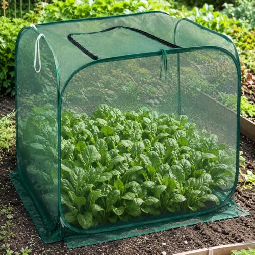Collapsible Pop-Up Mesh Garden Cover（35''x35''x31''for Square Raised Beds-30% Sunblock，Protective Netting Cage for Vegetables, Fruits & Flowers, Keep Birds and Small Animals Out - size: 35''x35''x31''