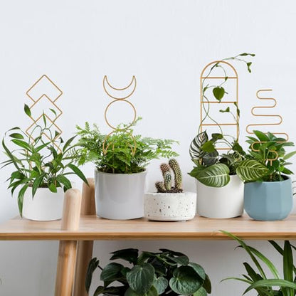 Wellsign 16inch Indoor Plant Trellis for Potted Plants - size: Gold-Metal-Trellis01