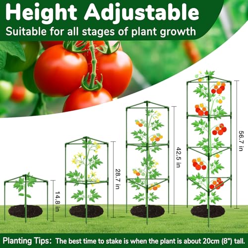 ZeeDix 6 Pack 57 Inch Heavy Duty Tomato Cages for Garden - size: 57"-6 Pack