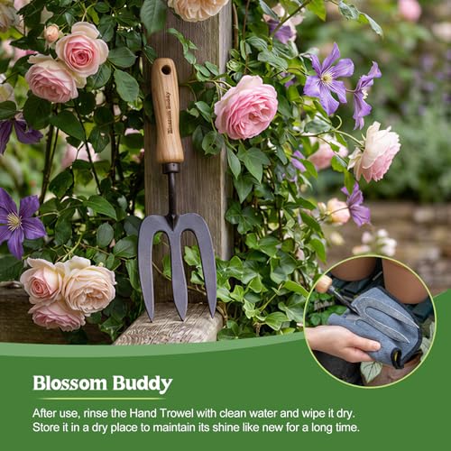 Stainless Steel Garden Hand Fork, Hand Weeder Fork with Ash Wood Handle - size: 31CM Garden Fork
