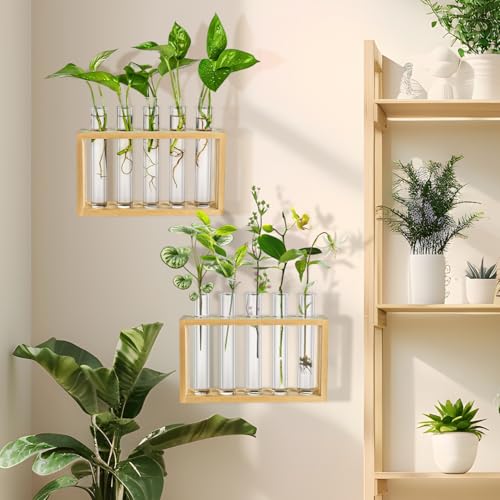 16 Pcs Clear Plant Propagation Tubes 20ml Plastic Test Tubes