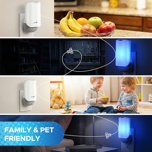 Beedo Gnat Fruit Fly Flying Insect Trap Starter Kit, Indoor Bug Catcher Plug in Device for House, Mosquito, Drain Flies Killer, Blue and UV Light Combo, Zapper Alternative, 1 Device with 5 Glue Insert