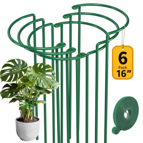 AMAGABELI GARDEN & HOME Plant Support Stakes - color: 6-pack, size: 6 Pack-10" W x 15.8" H