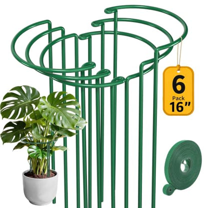 AMAGABELI GARDEN & HOME Plant Support Stakes - color: 6-pack, size: 6 Pack-10" W x 15.8" H