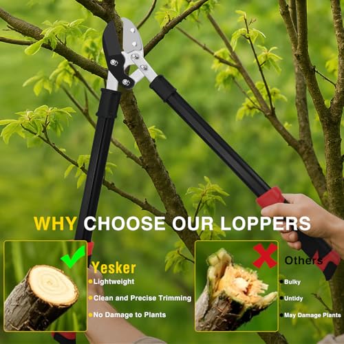 Yesker 29.5" Loppers Heavy Duty Tree Trimmer Sharp Anvil Blade Bypass Loppers up to 1.6 Inch Dia Cut Capacity Compound Action System Limb Branch Cutter Ideal for Tree Trimming Garden Maintenance - size: 29.5" Loppers