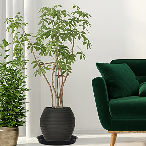 8 Pack 10Inch 12Inch 14Inch 15 Inch Plant Saucer Plastic Plant Saucer Drip Trays Plant Saucers for Indoors Outdoor Plant (10+12+14+15 inch) Black - color: 10+12+14+15