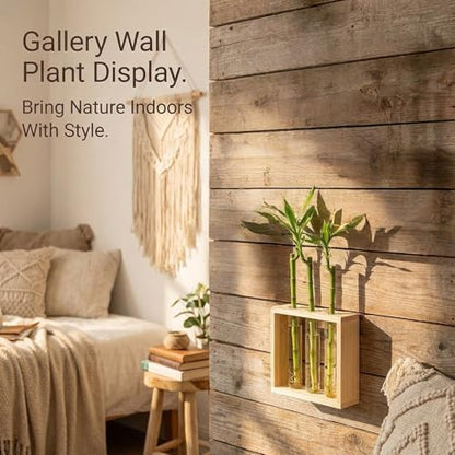 3-Tube Plant Propagation Station, Wall-Mounted Terrarium with Propagation Tubes – Ideal for Indoor Plant Propagation in Living Rooms, Bedrooms & Offices (Uses Test Tubes for Plants)