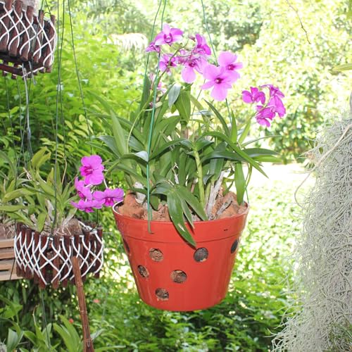 Set of 8 Strong Thick Plastic Hanging Orchid Pots with Holes and Hangers. 2 Each of 9 Inches Wide, 7.5 Inches, 6.5 Inches, 5.5 Inches, Orchid Pots for Repotting, Orchid Planters